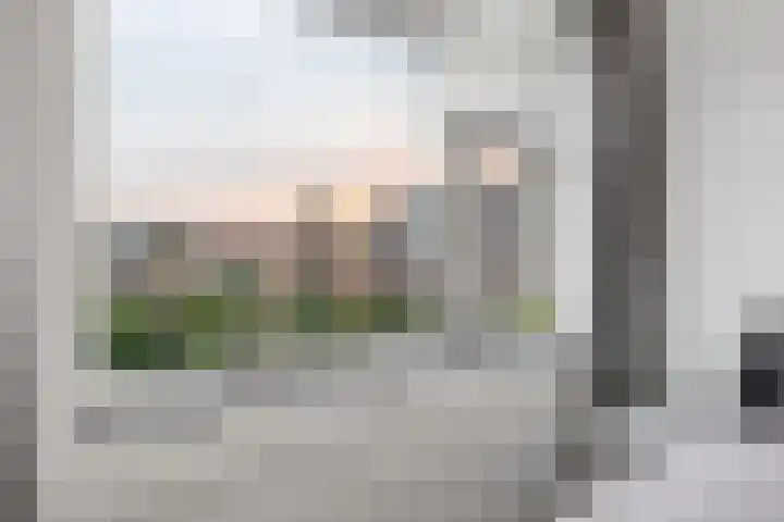De Wiese 51 Schalkwijk thumbnail 28