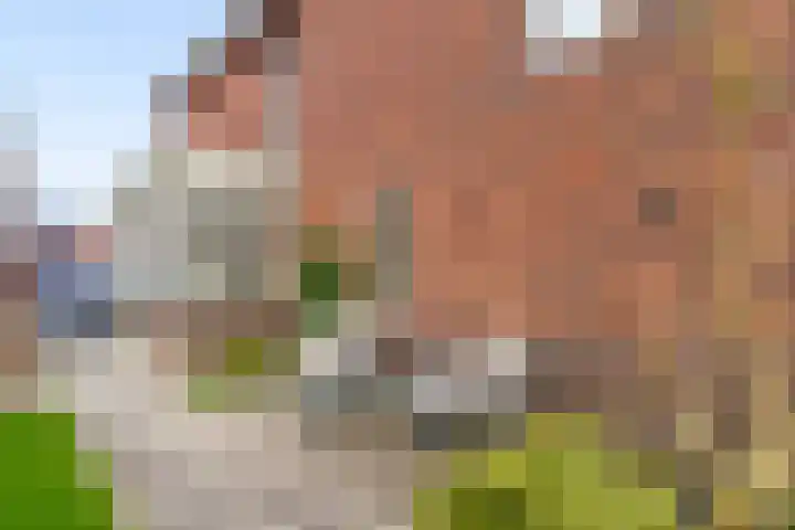 De Wiese 51 Schalkwijk thumbnail 50