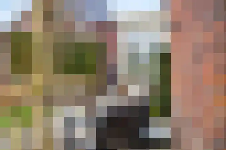 De Wiese 51 Schalkwijk thumbnail 51