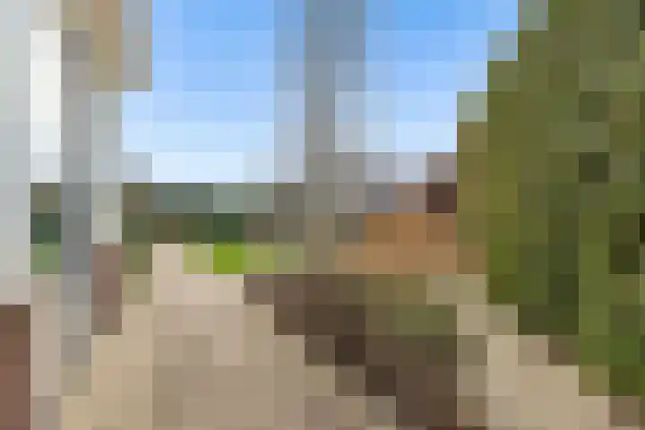 De Wiese 51 Schalkwijk thumbnail 53