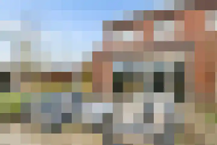 De Wiese 51 Schalkwijk thumbnail 55
