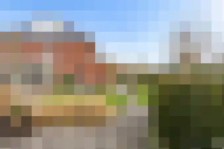 De Wiese 51 Schalkwijk thumbnail 56