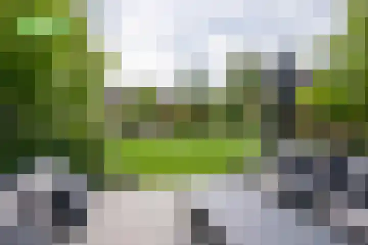 De Wiese 51 Schalkwijk thumbnail 59