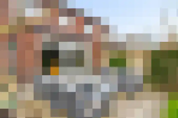 De Wiese 51 Schalkwijk thumbnail 60