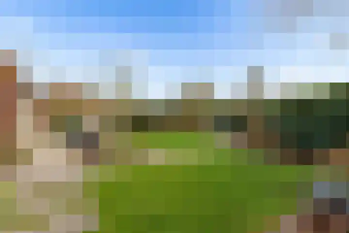 De Wiese 51 Schalkwijk thumbnail 61