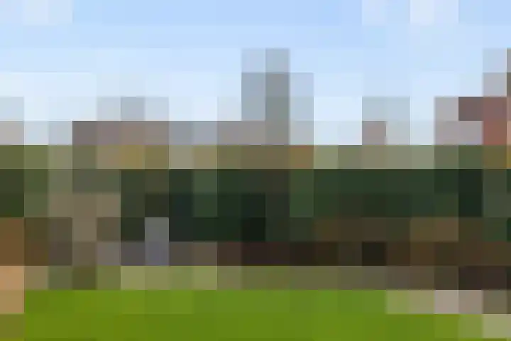 De Wiese 51 Schalkwijk thumbnail 62
