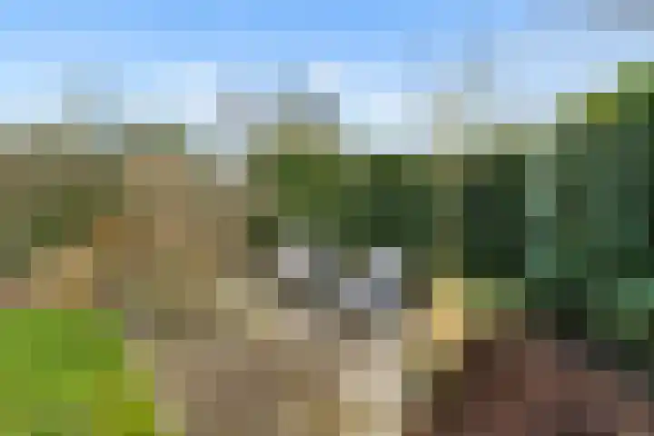 De Wiese 51 Schalkwijk thumbnail 63