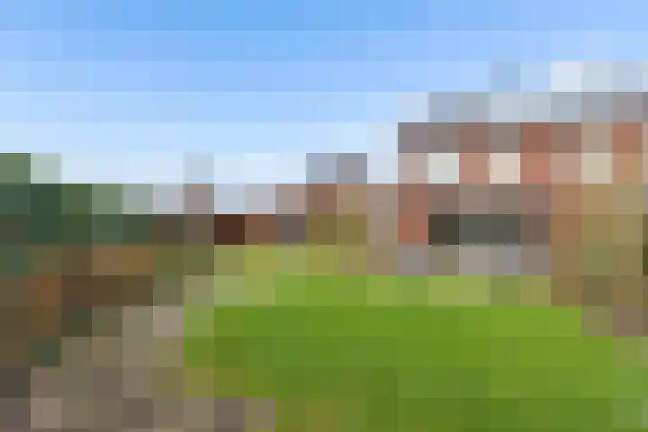 De Wiese 51 Schalkwijk thumbnail 64