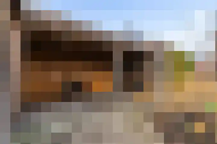 De Wiese 51 Schalkwijk thumbnail 65