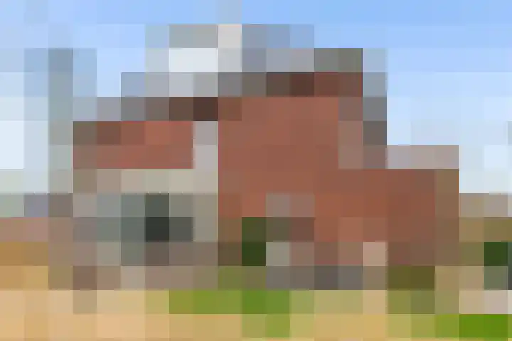 De Wiese 51 Schalkwijk thumbnail 66