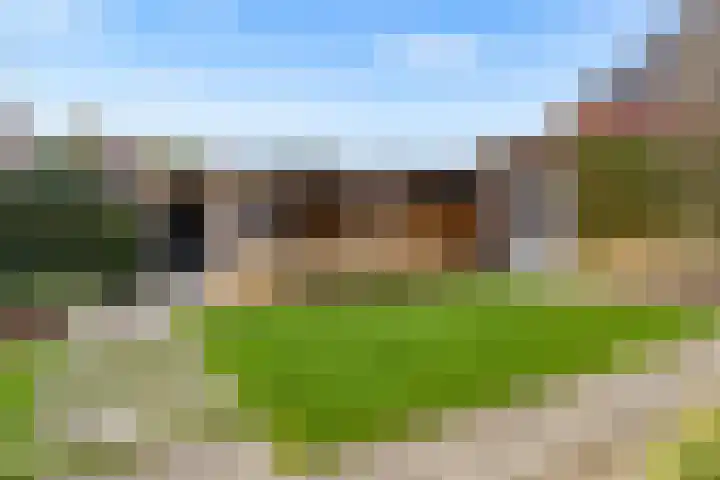 De Wiese 51 Schalkwijk thumbnail 69