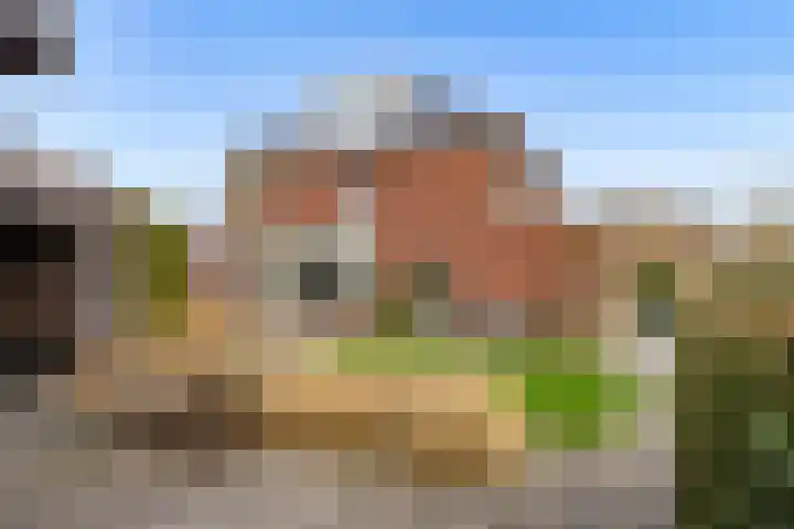 De Wiese 51 Schalkwijk thumbnail 71
