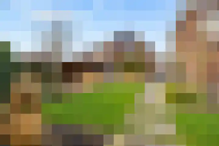 De Wiese 51 Schalkwijk thumbnail 72