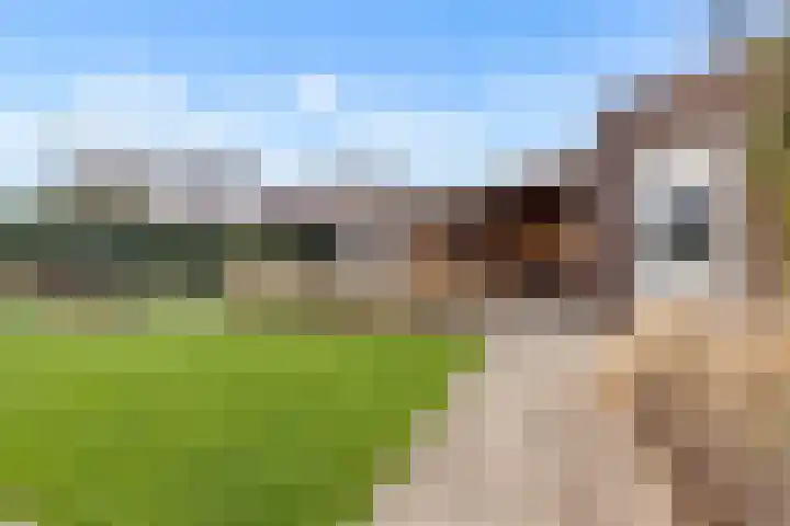 De Wiese 51 Schalkwijk thumbnail 73