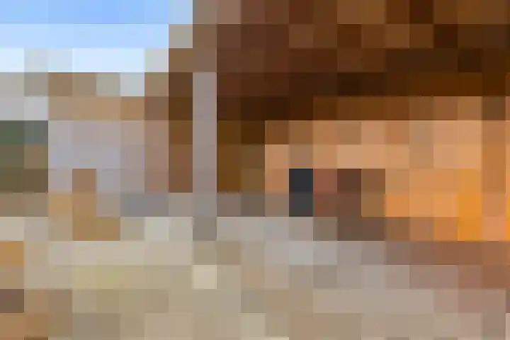 De Wiese 51 Schalkwijk thumbnail 74