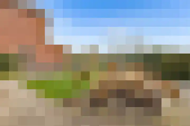 De Wiese 51 Schalkwijk thumbnail 75