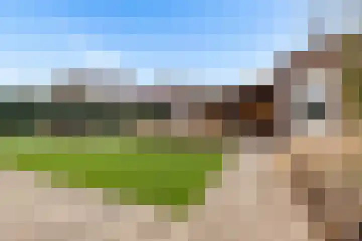 De Wiese 51 Schalkwijk thumbnail 76
