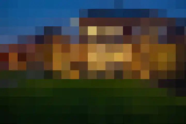 De Wiese 51 Schalkwijk thumbnail 79
