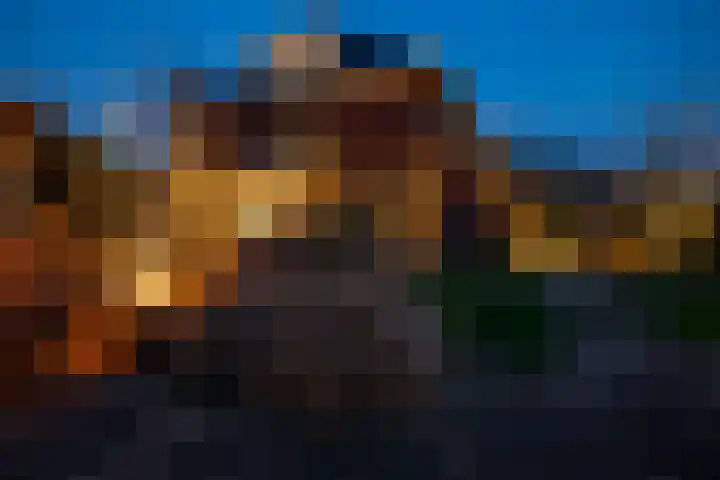 De Wiese 51 Schalkwijk thumbnail 80