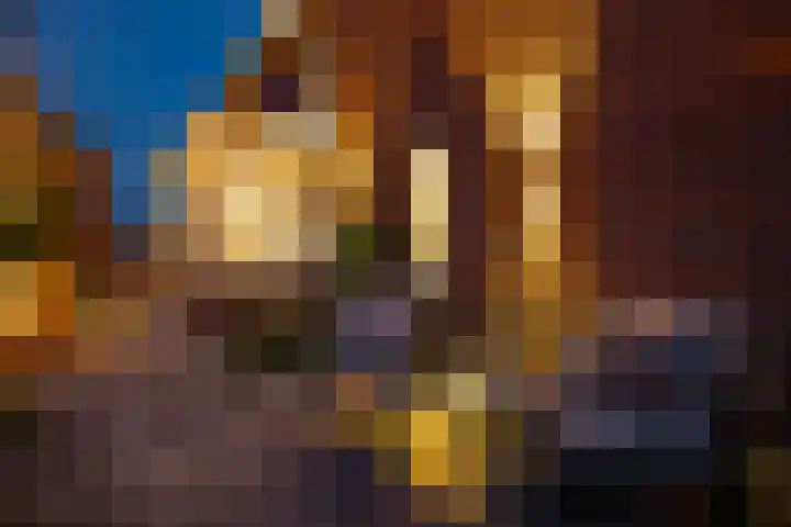De Wiese 51 Schalkwijk thumbnail 81