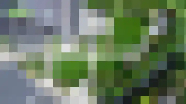 De Wiese 51 Schalkwijk thumbnail 91
