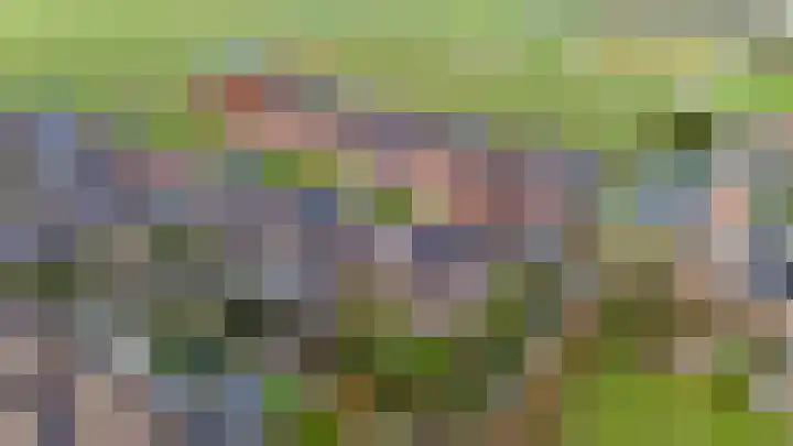 De Wiese 51 Schalkwijk thumbnail 92