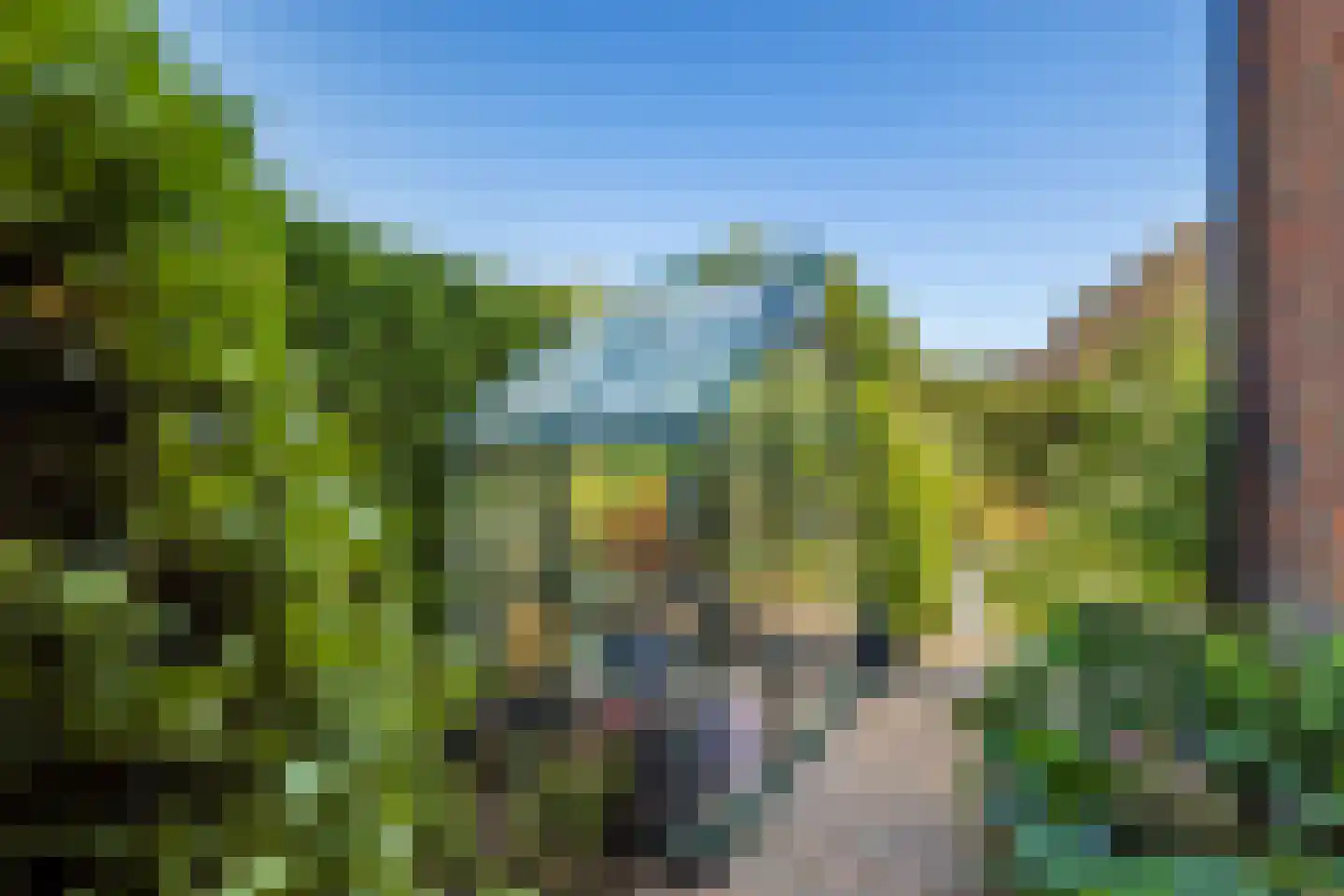 De Wiese 55 Schalkwijk thumbnail 34