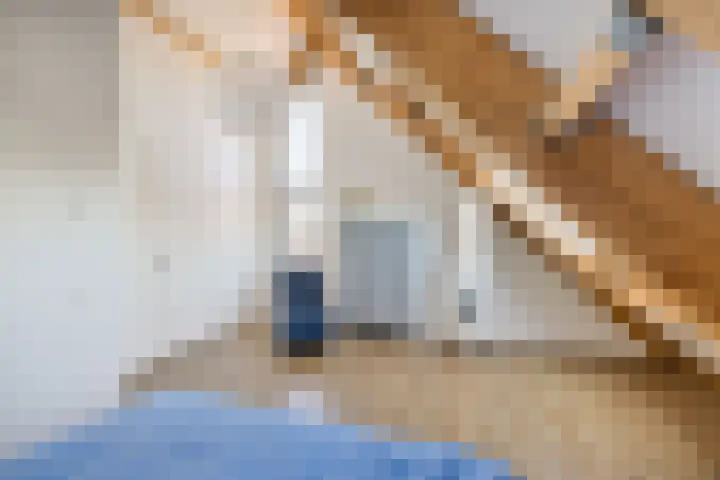 De Wiese 55 Schalkwijk thumbnail 53