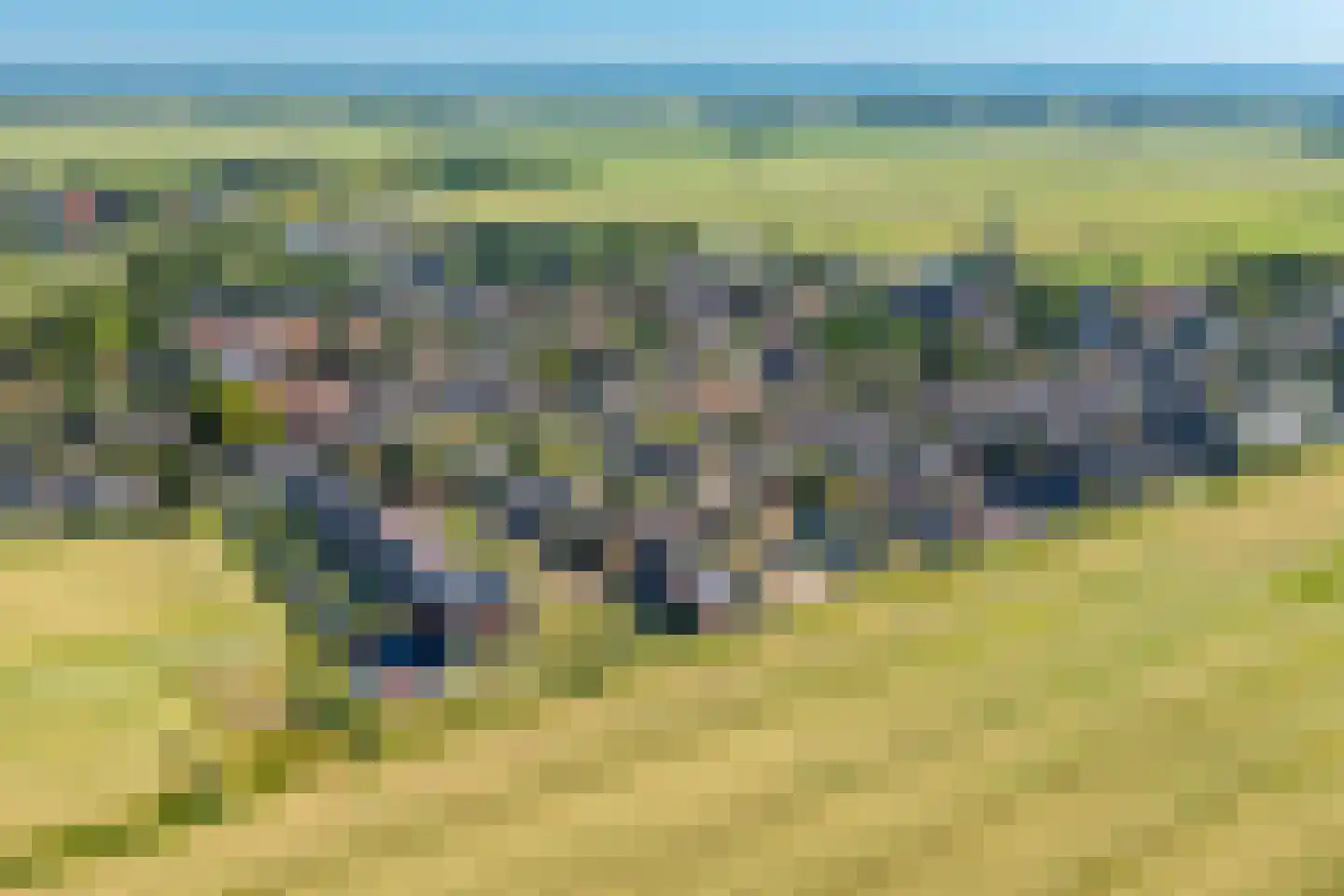 De Wiese 55 Schalkwijk thumbnail 56