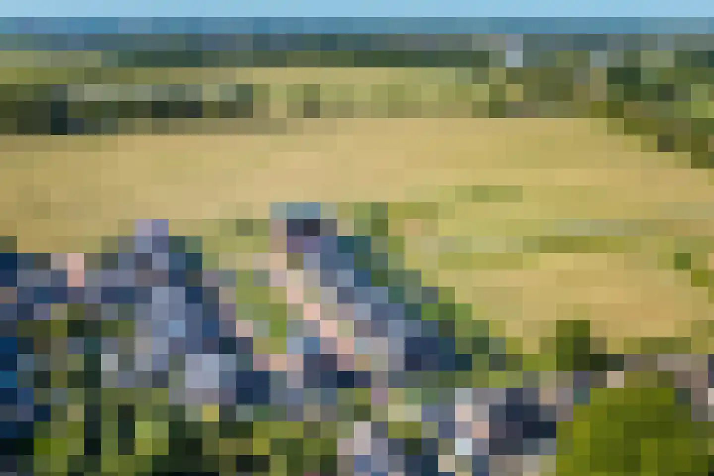 De Wiese 55 Schalkwijk thumbnail 57