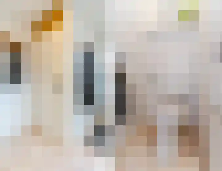 De Wiet 13 Soerendonk thumbnail 16