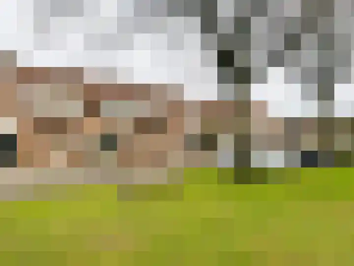 De Wiet 13 Soerendonk thumbnail 39
