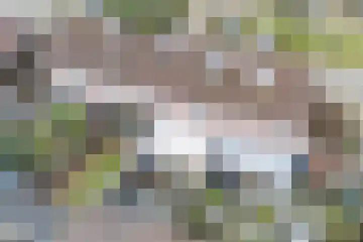 De Wiet 13 Soerendonk thumbnail 41