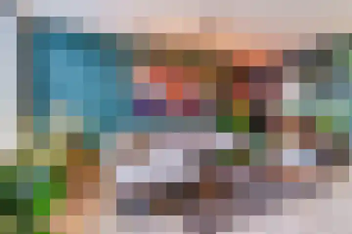 De Wiet 13 Soerendonk thumbnail 7