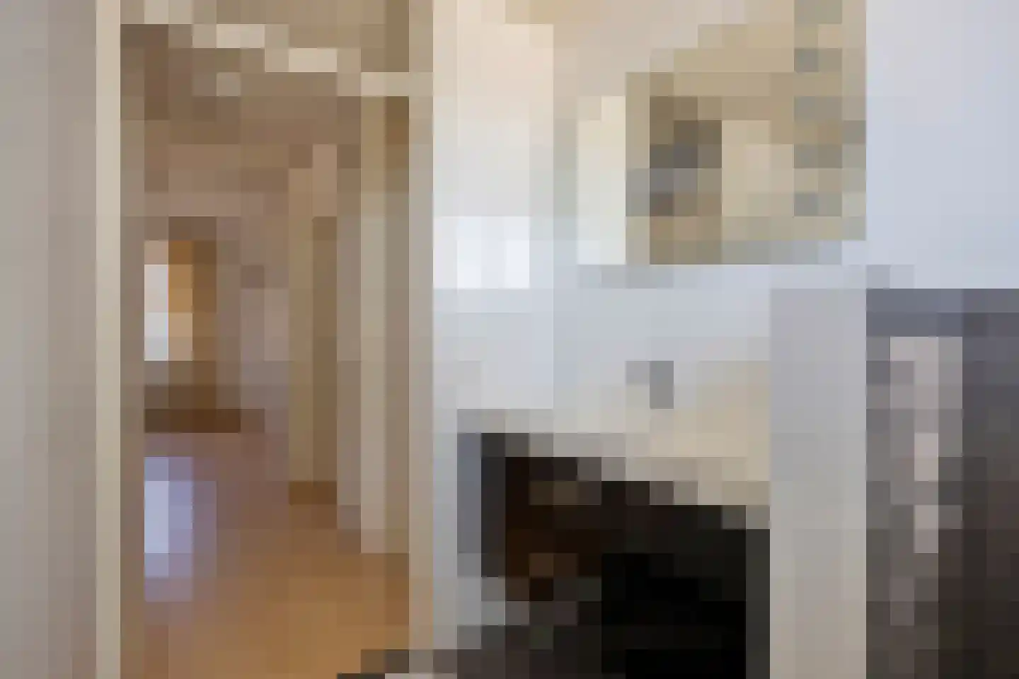 De Wiet 15 Soerendonk thumbnail 18
