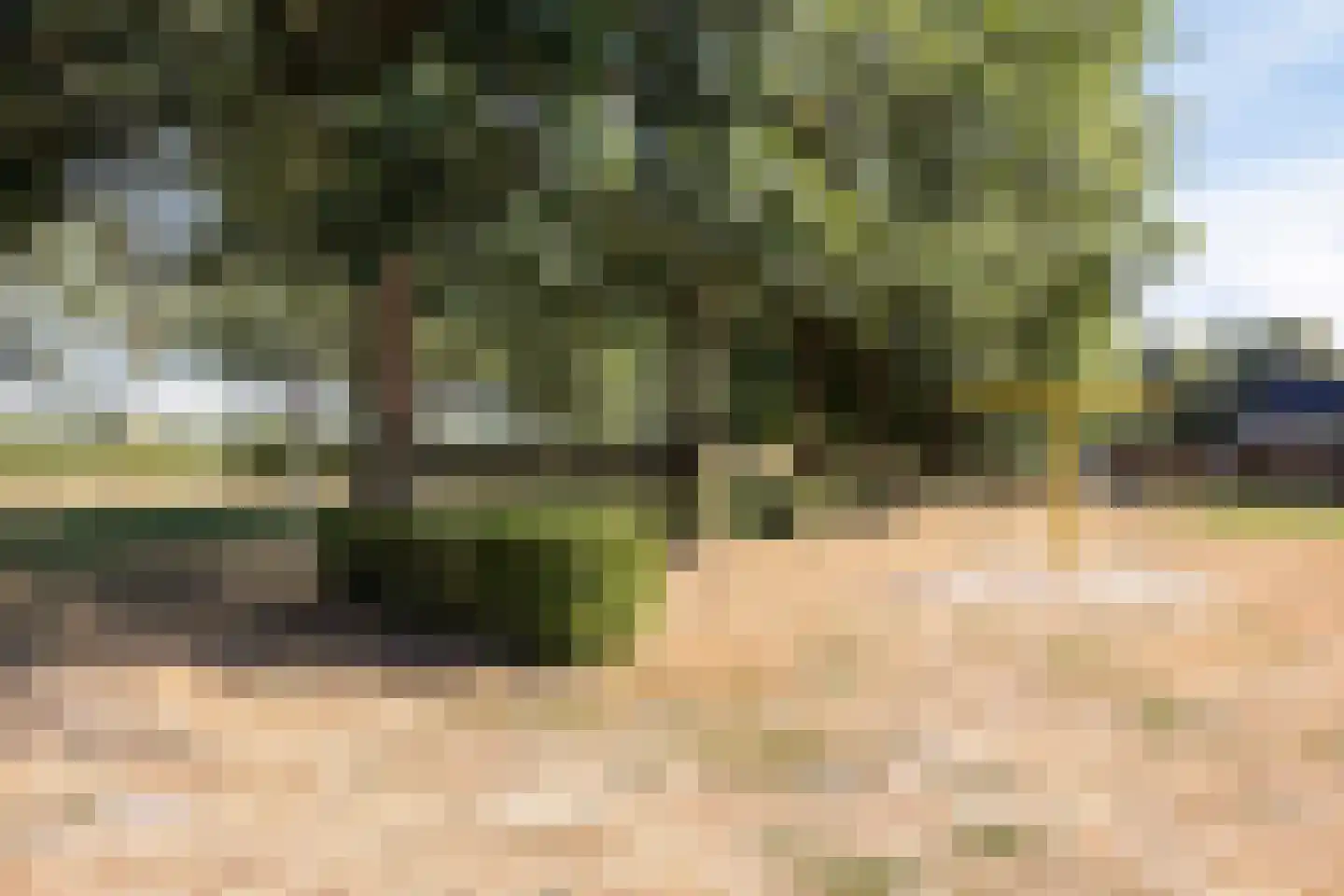De Wiet 15 Soerendonk thumbnail 33