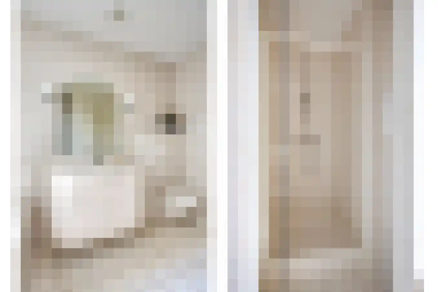 De Wiet 36 Soerendonk thumbnail 14