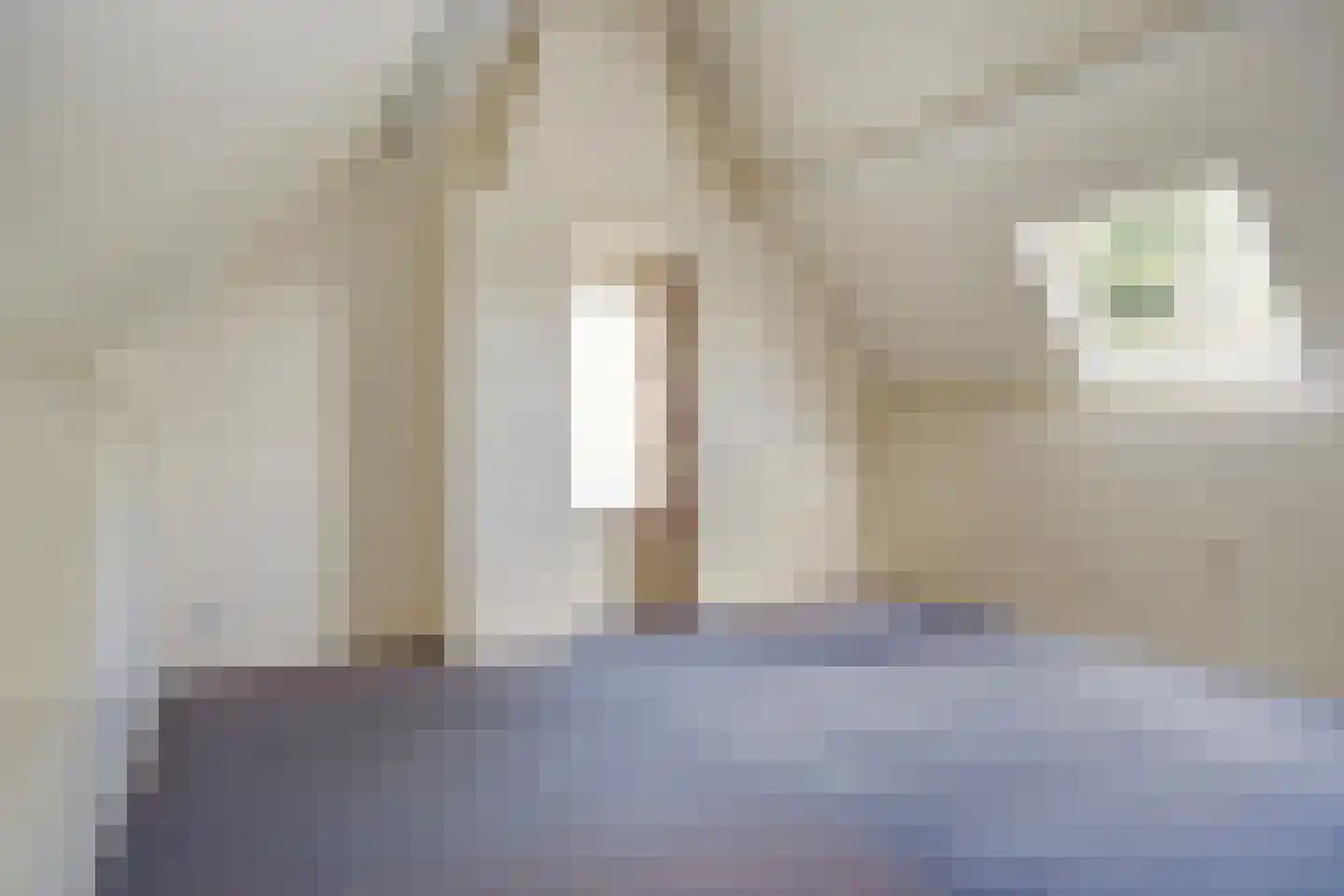 De Wiet 36 Soerendonk thumbnail 18