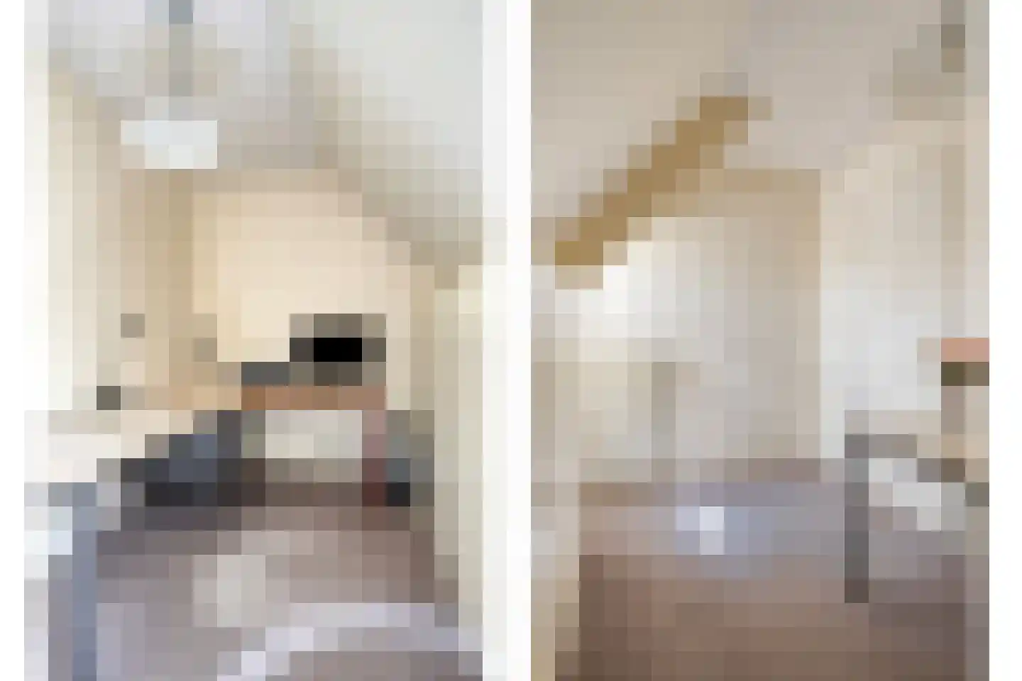De Wiet 36 Soerendonk thumbnail 19