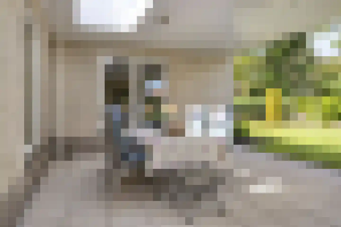 De Wiet 36 Soerendonk thumbnail 25