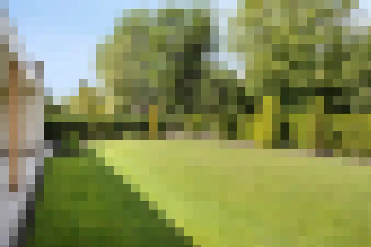 De Wiet 36 Soerendonk thumbnail 26