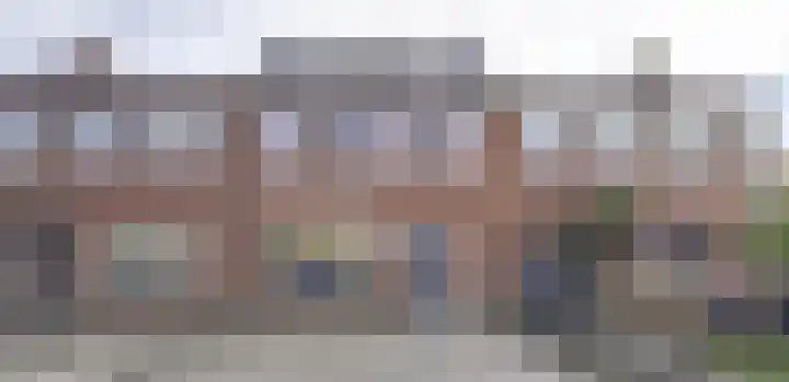 De wiezeboom 18 Steenwijk thumbnail 12