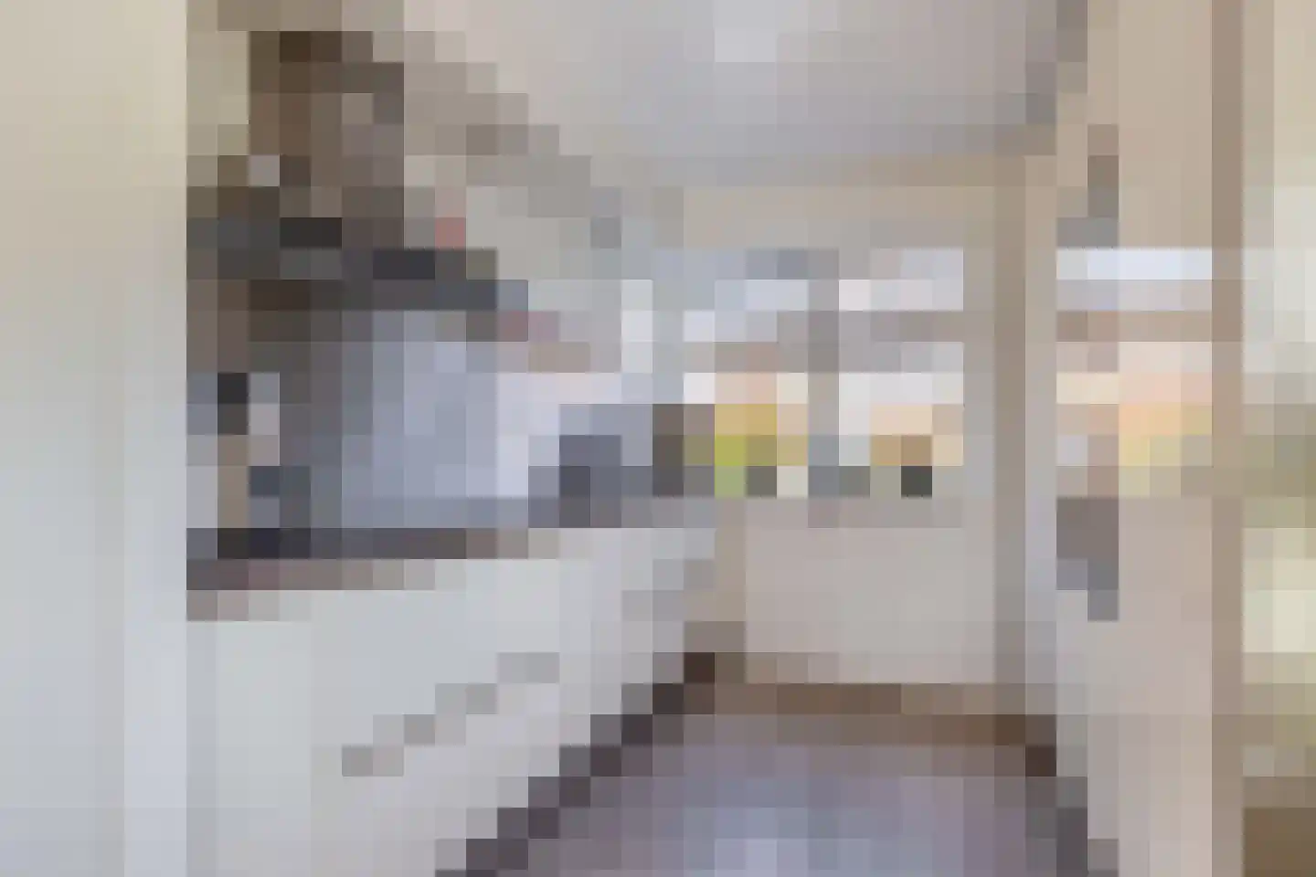De wiezeboom 18 Steenwijk thumbnail 12