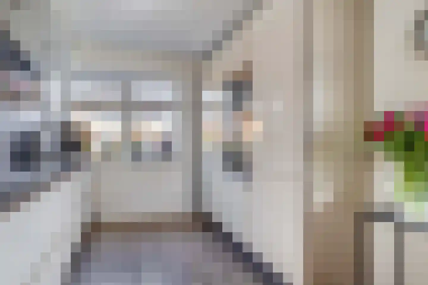 De wiezeboom 18 Steenwijk thumbnail 14