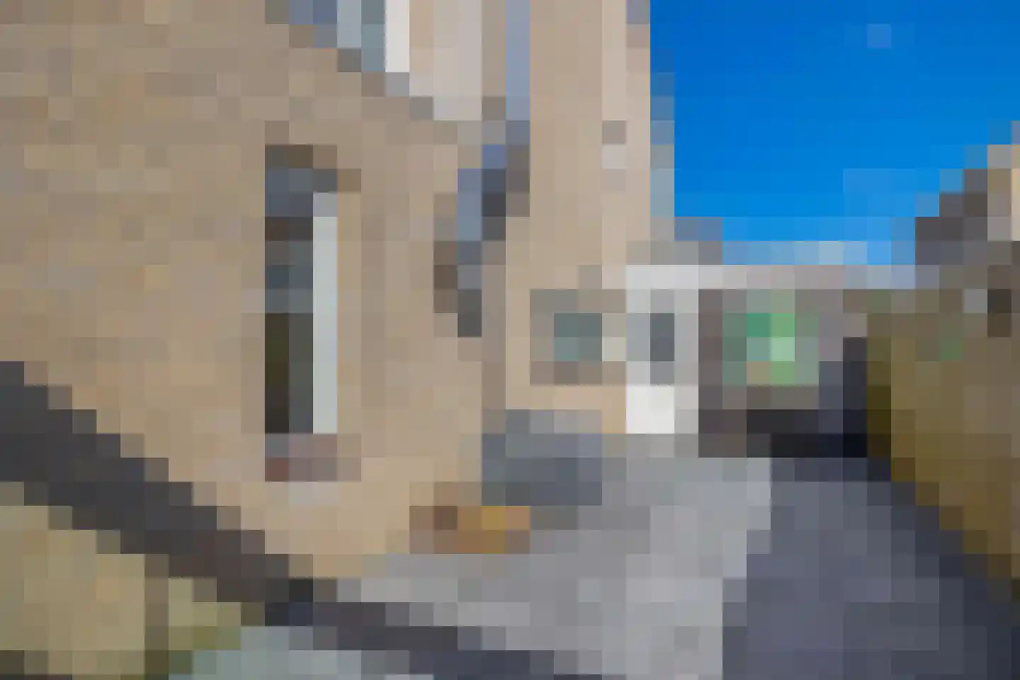 De wiezeboom 18 Steenwijk thumbnail 19