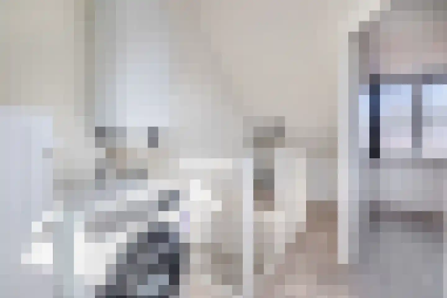 De wiezeboom 18 Steenwijk thumbnail 38