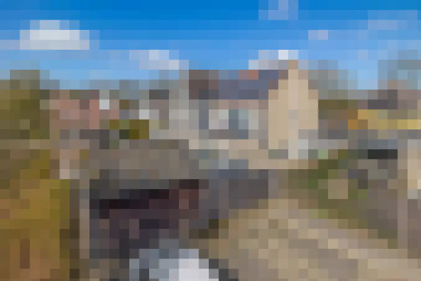 De wiezeboom 18 Steenwijk thumbnail 43