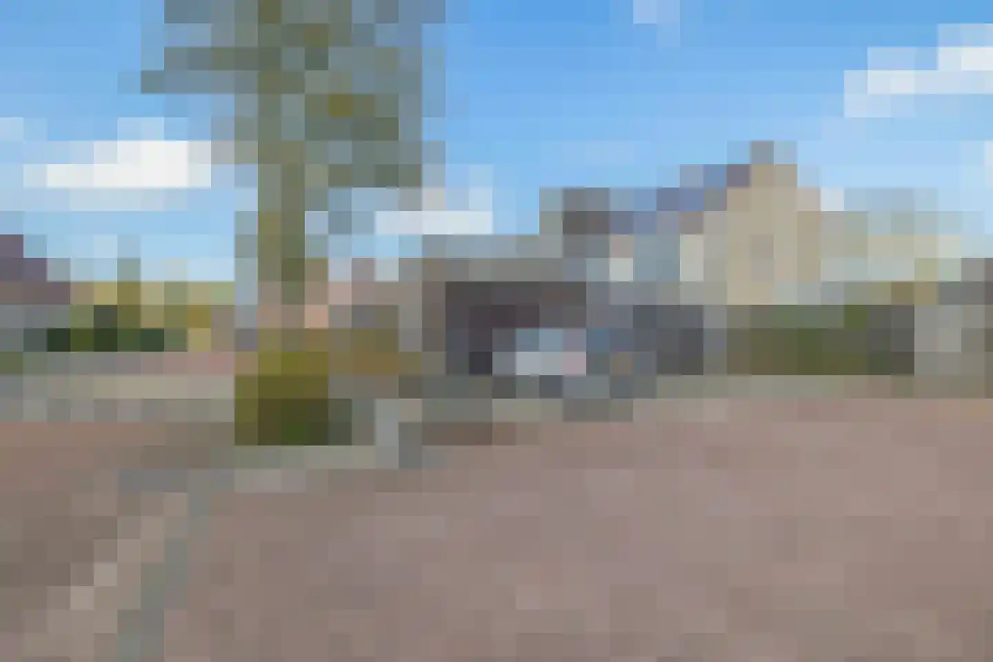 De wiezeboom 18 Steenwijk thumbnail 44