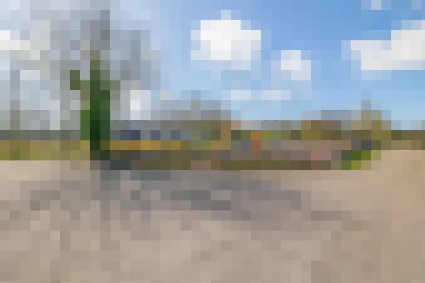 De wiezeboom 18 Steenwijk thumbnail 52
