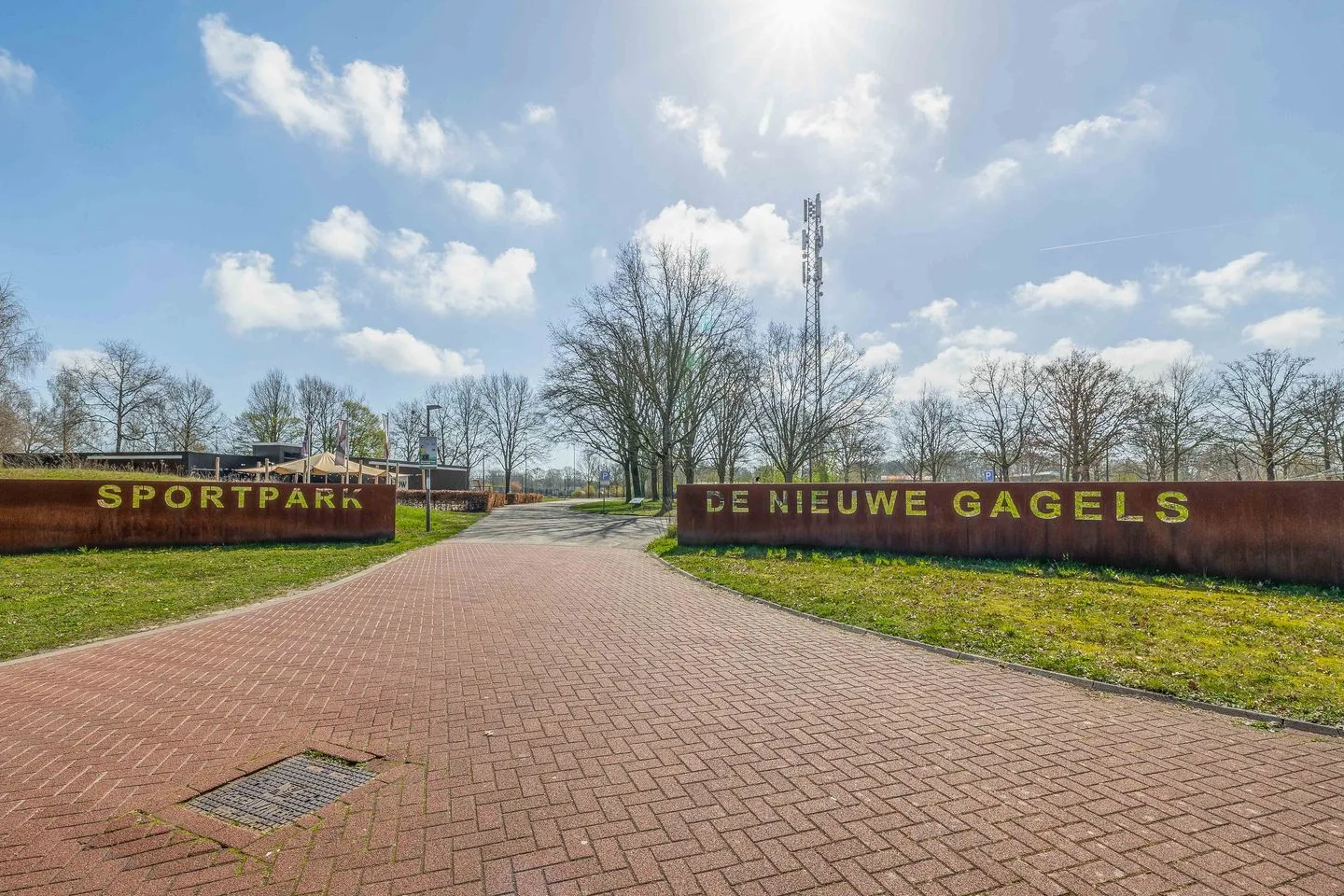 De wiezeboom 18 Steenwijk thumbnail 53